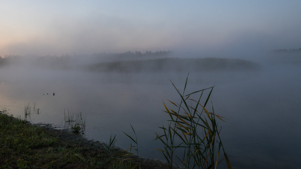 Июльские пейзажи: туманное утро. - Игорь Викторов Июльские пейзажи: туманное утро. - Игорь Викторов