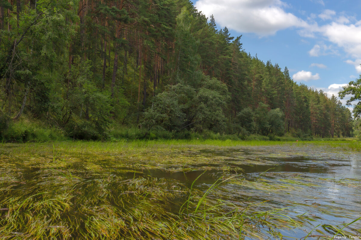 Июльская Пышма - Евгений Тарасов 