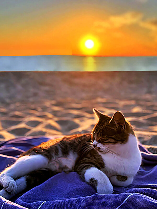 ОТДЫХАЮЩИЙ - Анатолий Малобродский