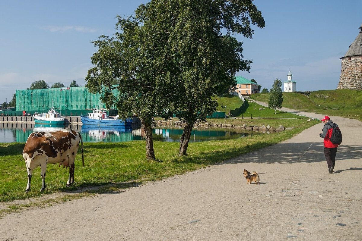 Изучение - Олег Иванов