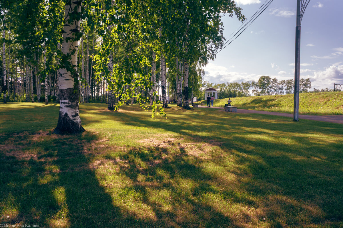 Теплый летний вечер в парке - Владимир Калеев