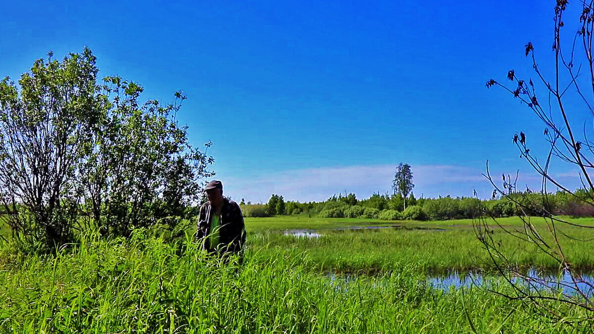 Июнь...Я в пойме протоки Чеускина! - Владимир 