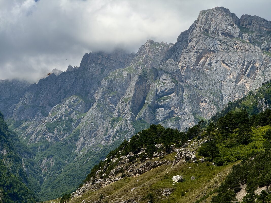 .... - Сергей Адигамов