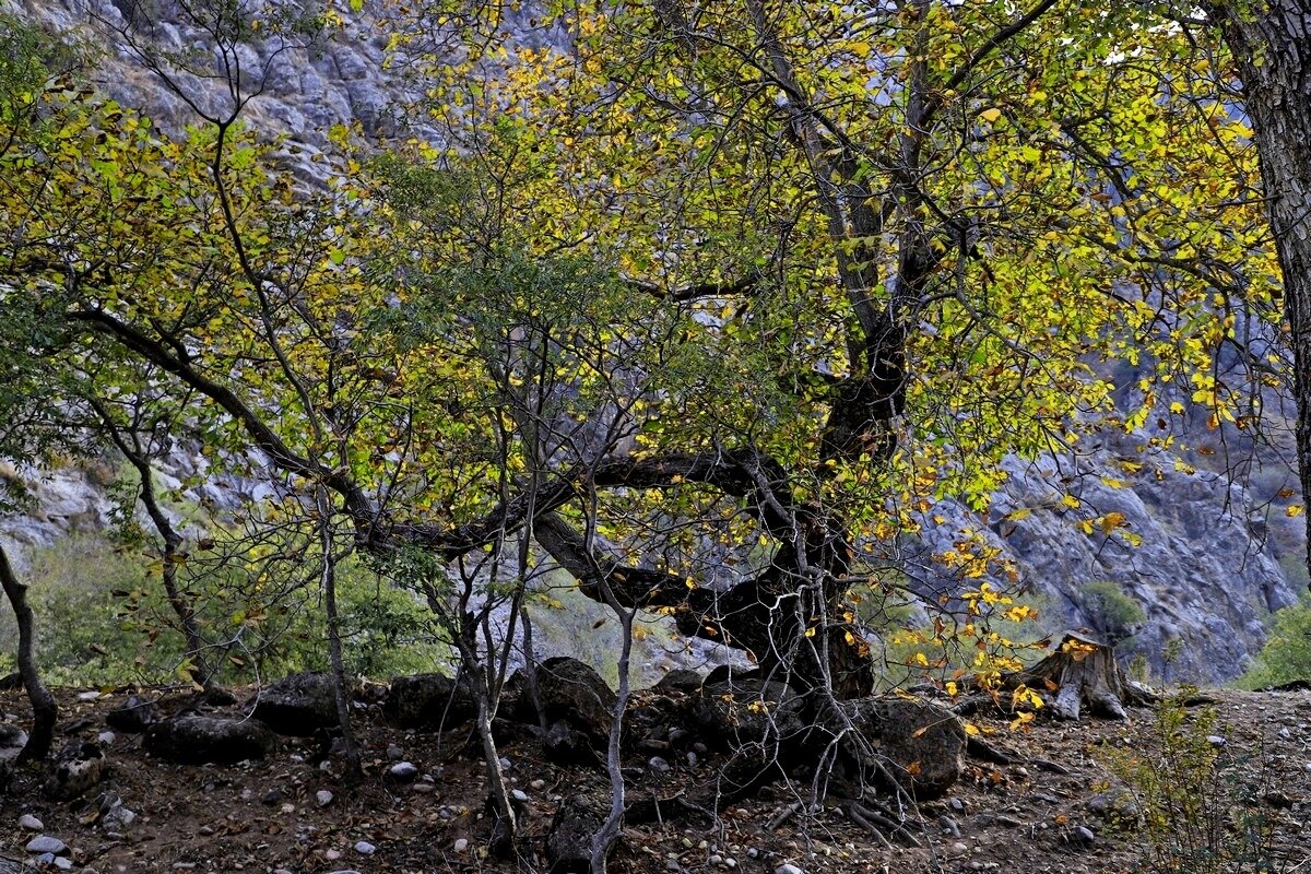 ПО НИЗАМ. - Виктор Осипчук ПО НИЗАМ. - Виктор Осипчук