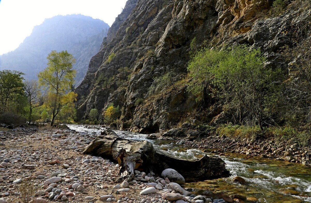 ПО НИЗАМ. - Виктор Осипчук