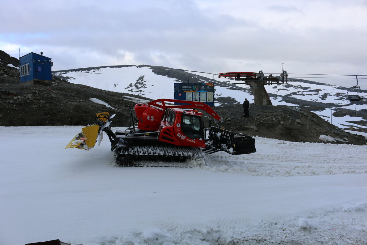 В начале лета - Ольга 