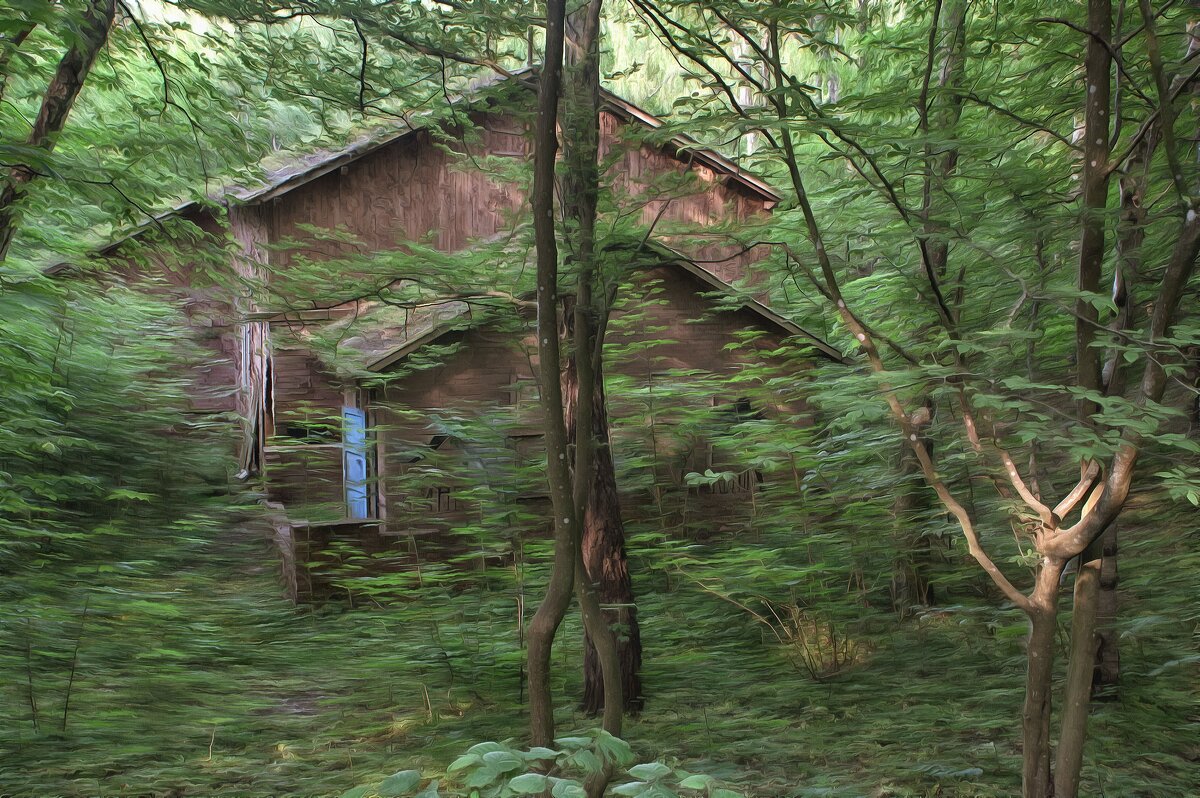 Дом в лесу. - Александр Лисовский