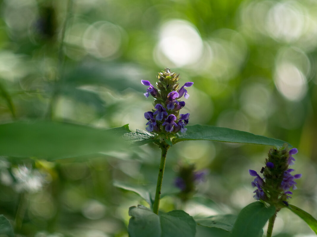 ___ - Yuriy V ___ - Yuriy V