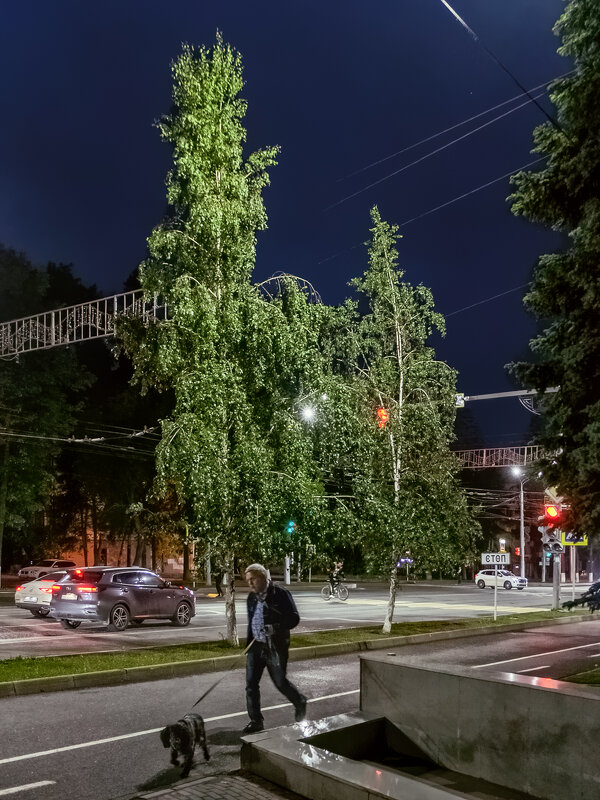 На прогулке - Сергей Шатохин 