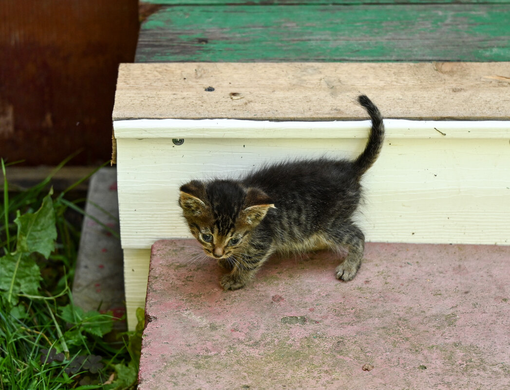 * - Вадим * - Вадим