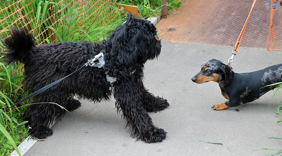 Знакомство - Светлана 
