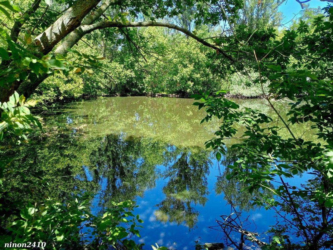 В ростовском зоопарке - Нина Бутко