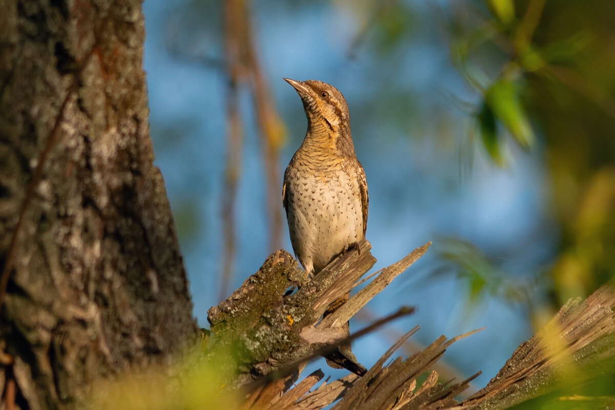 замерла - Виталий Емельянов