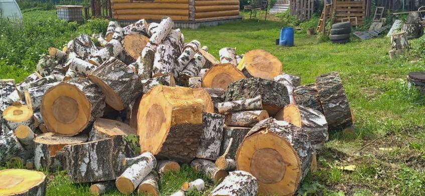 Дрова 2025. - Михаил Полыгалов