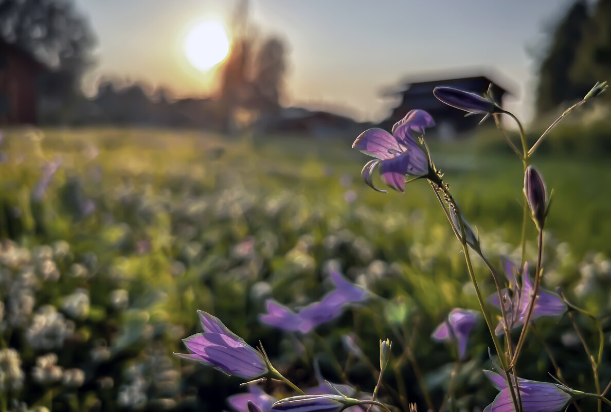 на закате - Дмитрий Иванов