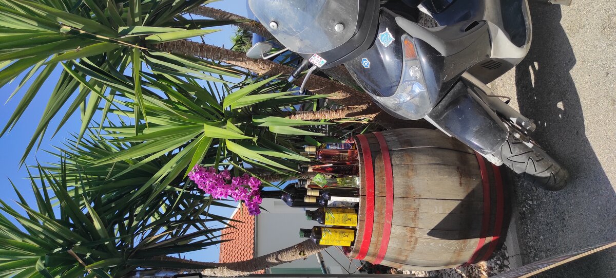 гостеприимство - Светлана Баталий