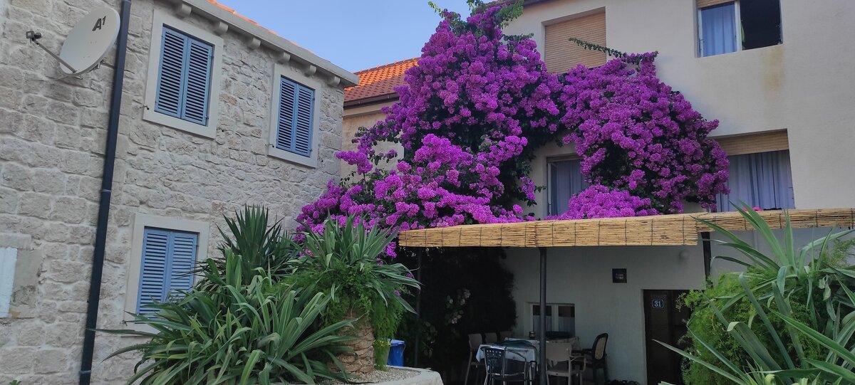 приморский городок - Светлана Баталий