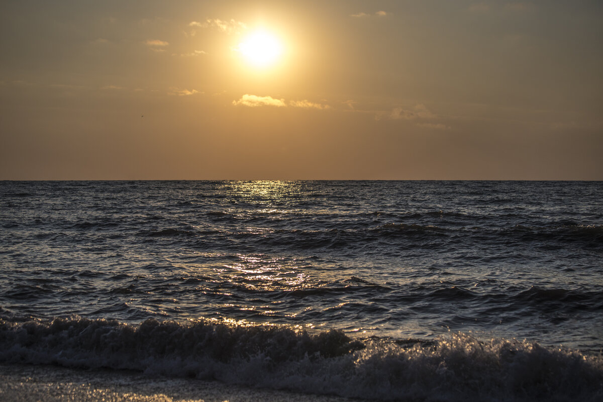Вечерние купания - Светлана Тихонина