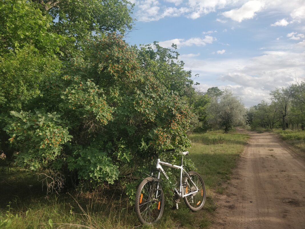Велопоход - Андрей Хлопонин