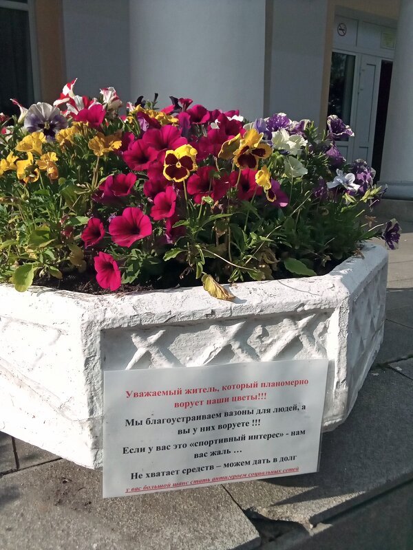 Не  трогайте   наши  цветы! - Фотогруппа Весна