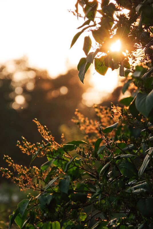 На закате... - Руслан 