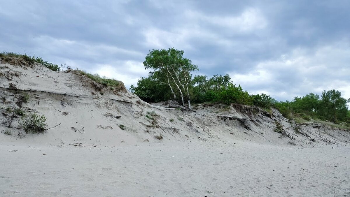 Балтийска коса - Олег Денисов