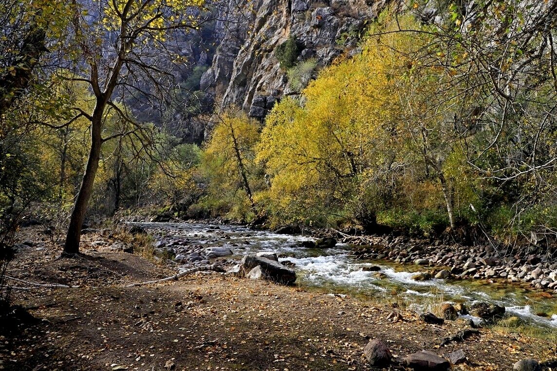 ПО НИЗАМ. - Виктор Осипчук ПО НИЗАМ. - Виктор Осипчук