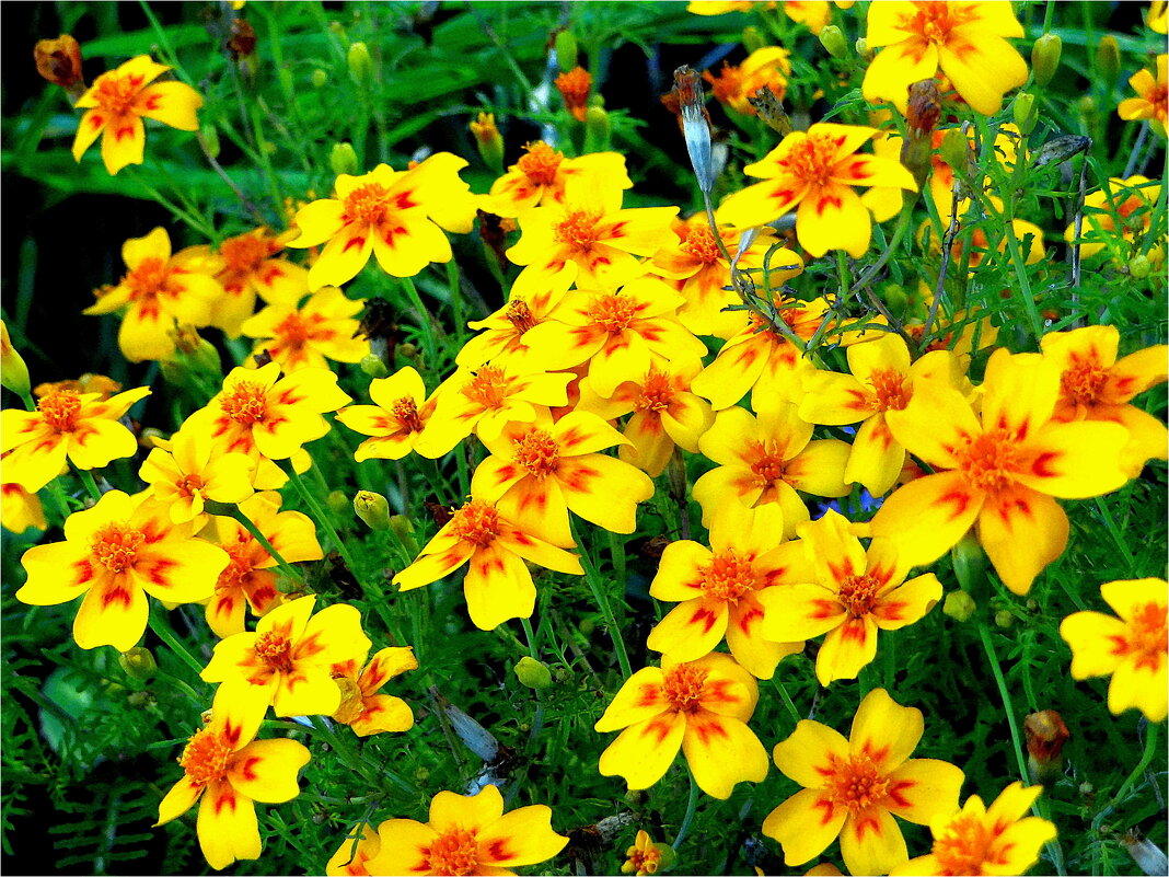 ЛЕТО - Юрий Владимирович 34 ЛЕТО - Юрий Владимирович 34