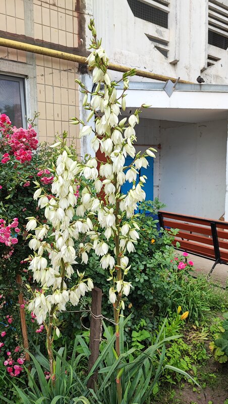 ,,, - Сергей Тимоновский