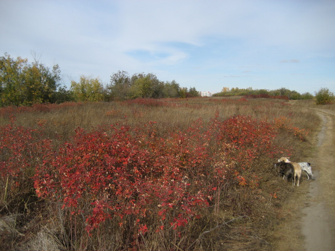 Осень - Anna Ivanova Осень - Anna Ivanova