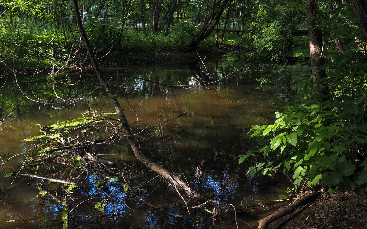 ***** - юрий поляков