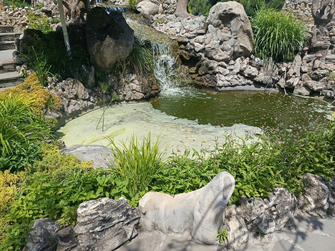 Пруд парк Лога - Татьяна Пальчикова