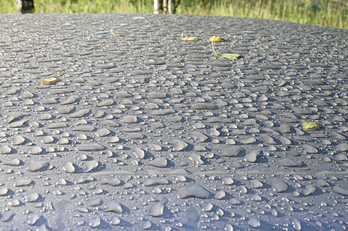 После дождя - Валерий Пославский