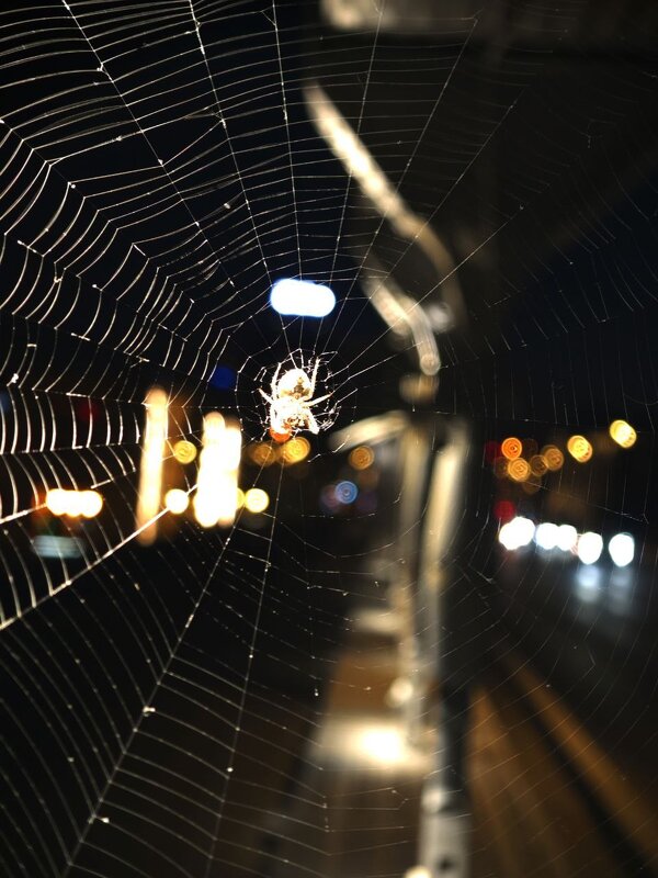 Находка - Екатерина 