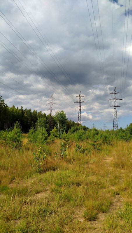 Просто лето - светлана льдокова