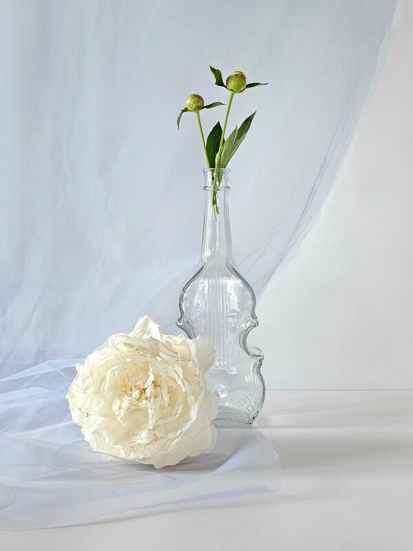 Вальс "Мендельсона" - Галина Левина