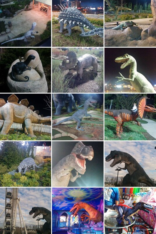 По моим фотографиям - Светлана Хращевская