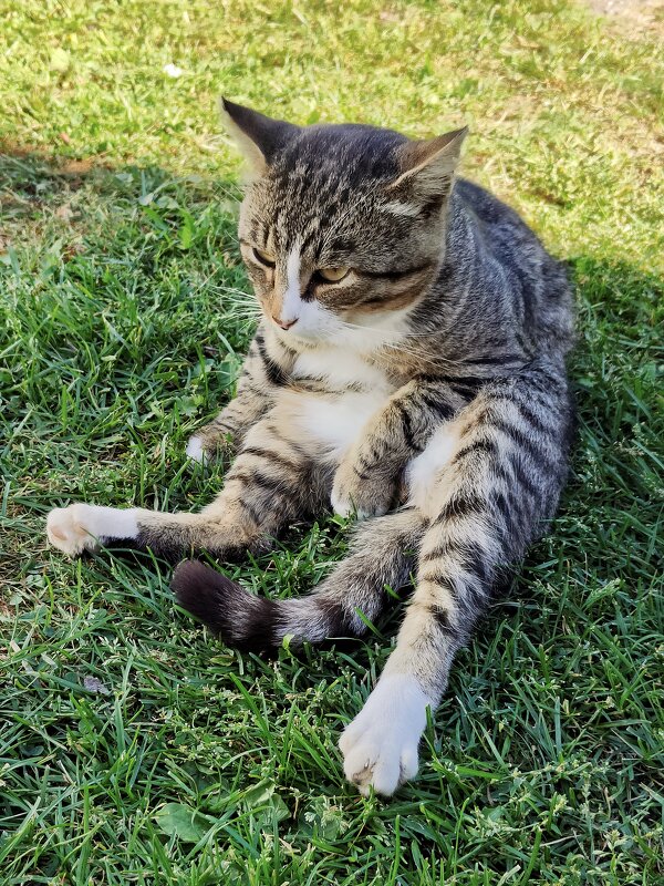 - Рыбу не дают, на рыбалку не берут... - Валерий Судачок