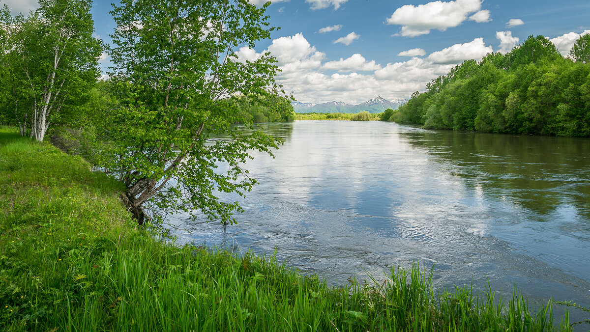 ... - Жора Житников