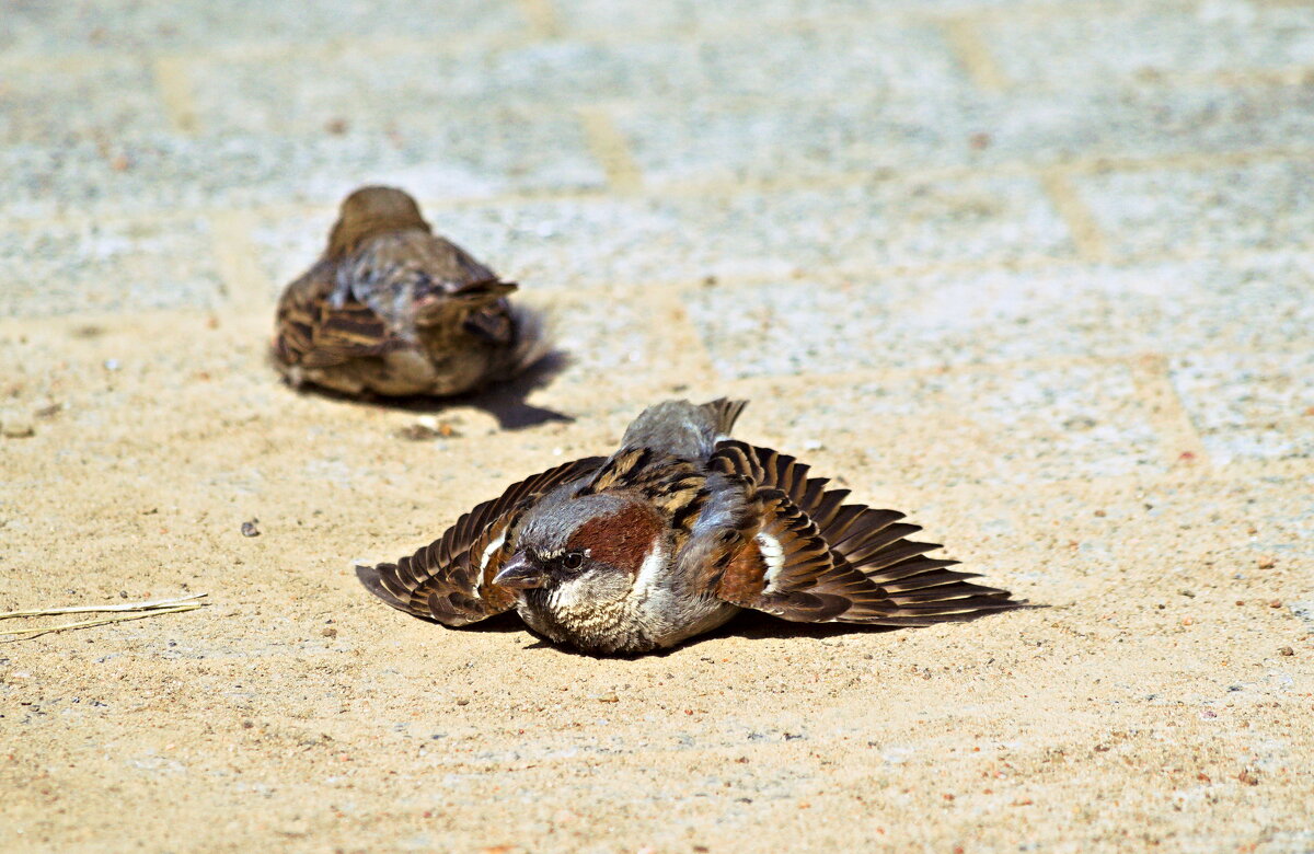 +++ - Валерий +++ - Валерий