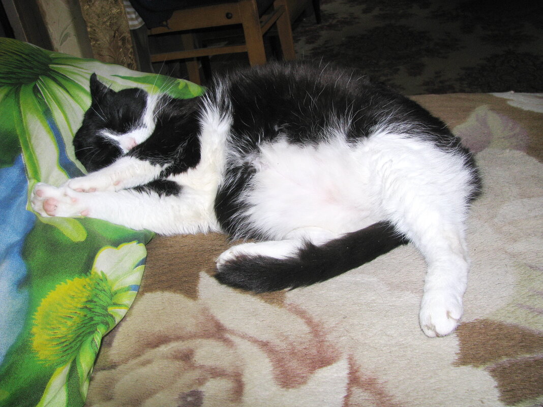 Так сладко спит - Людмила Смородинская