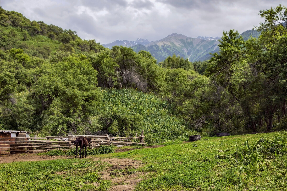 Верный помощник егеря - LudMila 