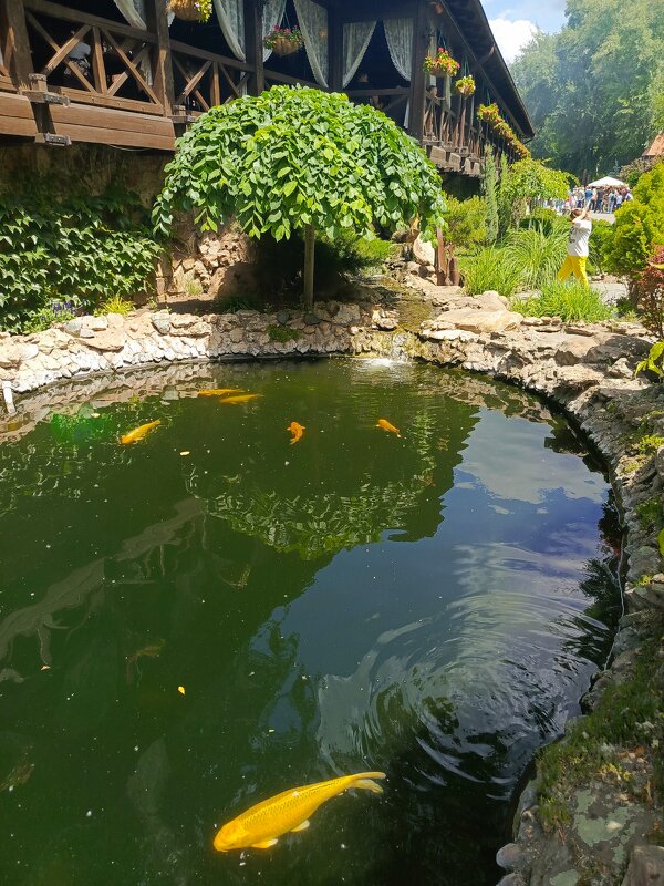 Парк Лога - Татьяна Пальчикова