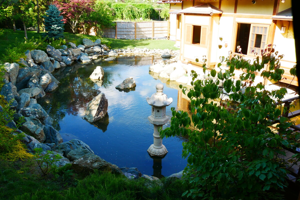 Японский сад. Парк Галицкого "Краснодар" - Alexey YakovLev