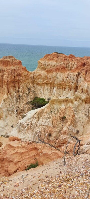 На юге Португалии - Ирэн 