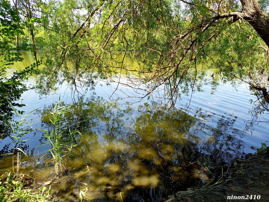 Свет и тени в отражениях... - Нина Бутко
