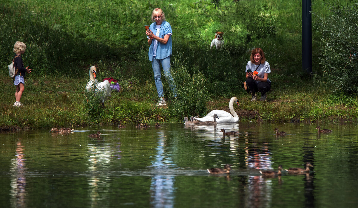 *** - Владимир Безбородов