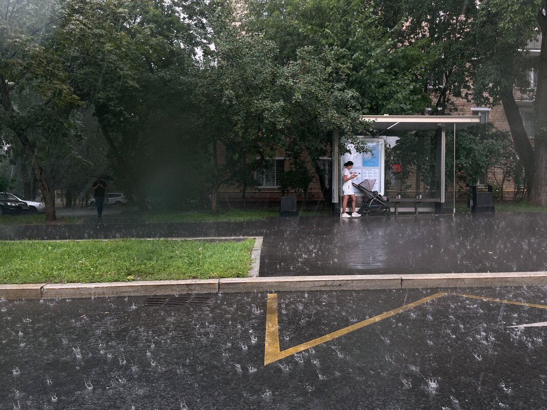 Дорожная дождливая - Сергей Золотавин Дорожная дождливая - Сергей Золотавин