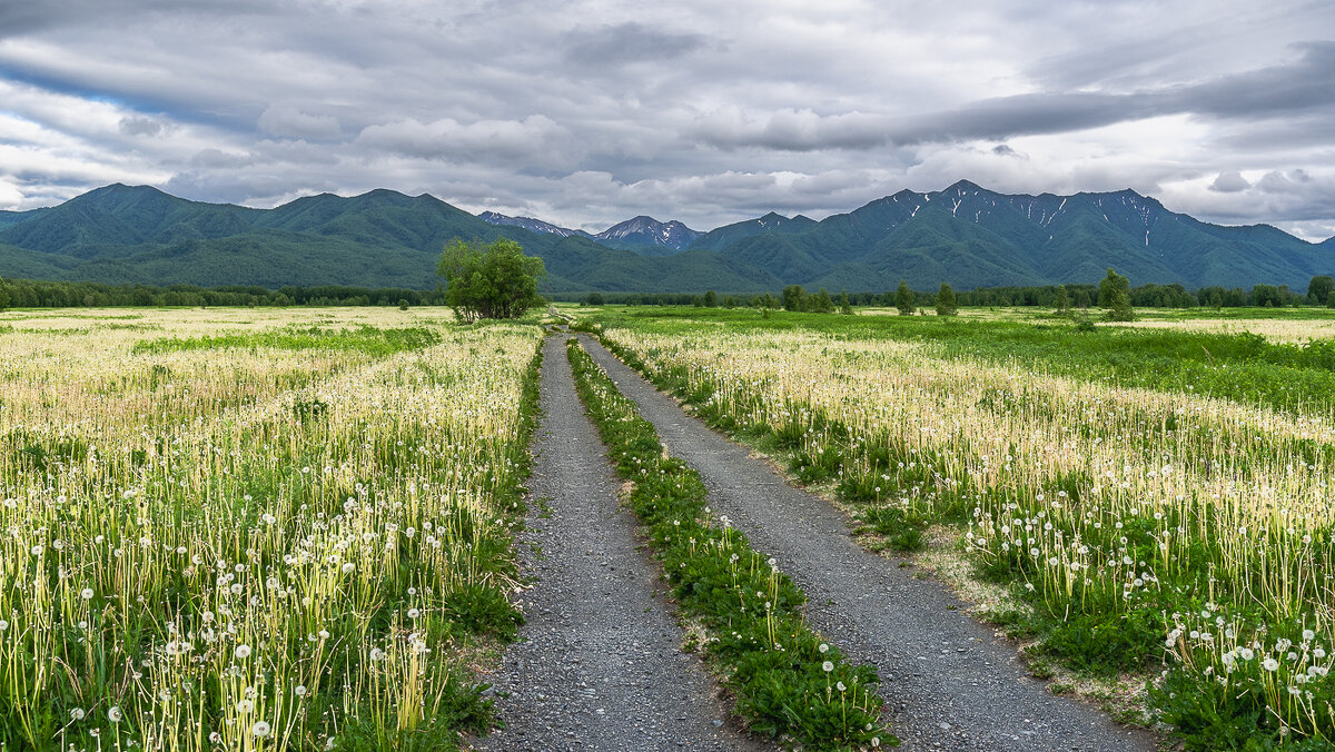 ... - Жора Житников ... - Жора Житников