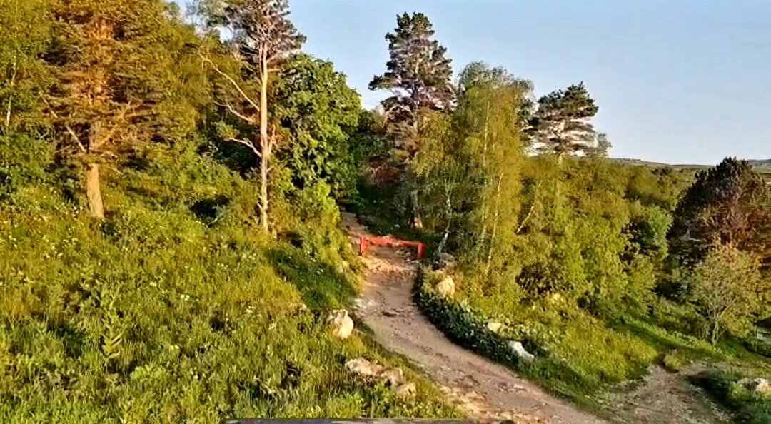 ЛАГОНАКИ - Tata Wolf